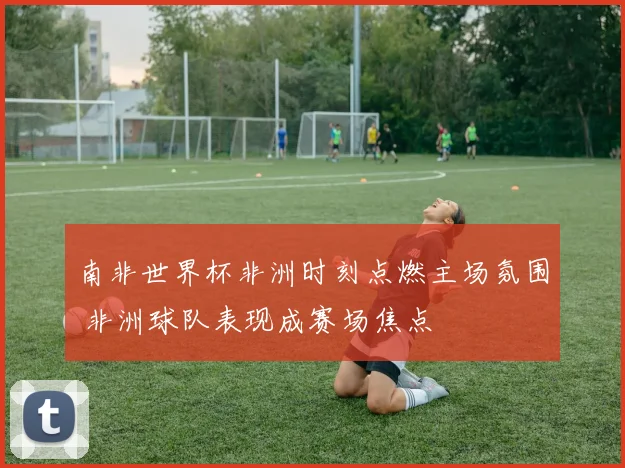 南非世界杯非洲时刻点燃主场氛围 非洲球队表现成赛场焦点
