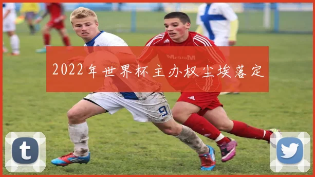 2022年世界杯主办权尘埃落定